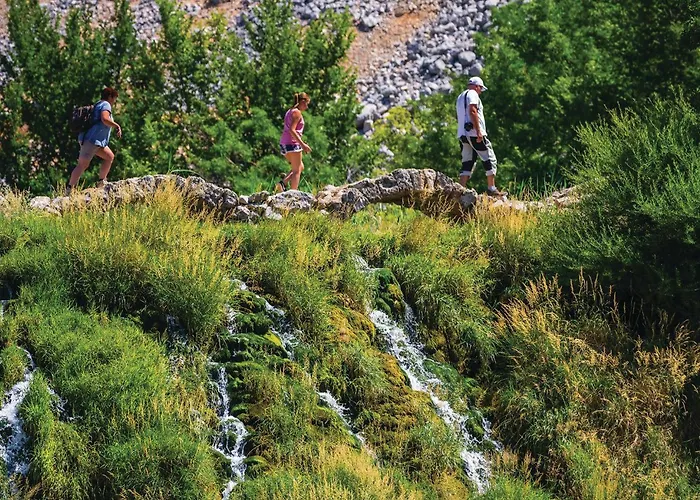 Gorgeous In Casa vacanze